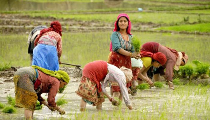 ബംഗാള്‍ സര്‍ക്കാര്‍ കര്‍ഷകര്‍ക്കായി കാലാവസ്ഥ നിരീക്ഷണാലയം സ്ഥാപിക്കും