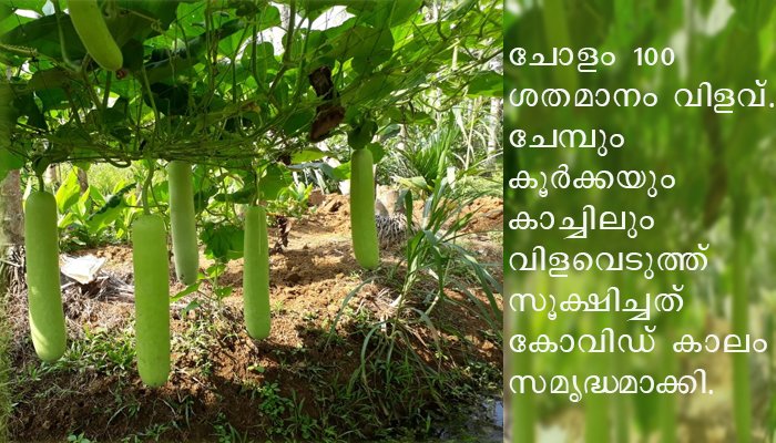 സ്വയംപര്യാപ്തതയാകണം കോവിഡിന്റെ  പാഠമെന്ന പ്രധാനമന്ത്രിയുടെ നിര്‍ദേശം അക്ഷരാര്‍ത്ഥത്തില്‍ പകര്‍ത്തുകയാണ് കോഴിക്കോടുകാരന്‍ അബ്ദുള്‍ മജീദ്