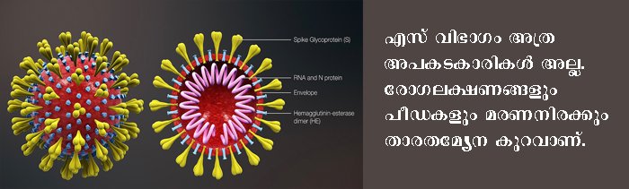 ഗള്‍ഫില്‍ നിന്നെത്തുവരിലൂടെ പകരുന്ന കൊറോണ മാരകമല്ലെന്ന് വിദഗ്ദ്ധര്‍
