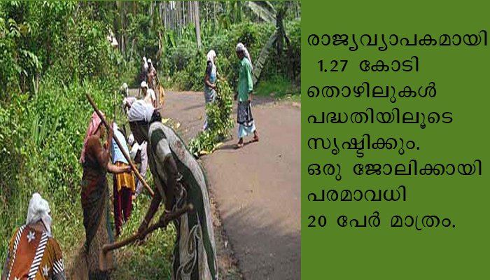 പാലക്കാട് ജില്ലയിലെ 13 ബ്ലോക്കുകളിലും ദേശീയ തൊഴിലുറപ്പു പദ്ധതിക്കു കീഴിലുള്ള ജോലികള്‍ പുനഃരാരംഭിച്ചു