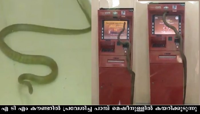എടിഎം മെഷീനുള്ളില്‍ മൂര്‍ഖന്‍ പാമ്പ്‌