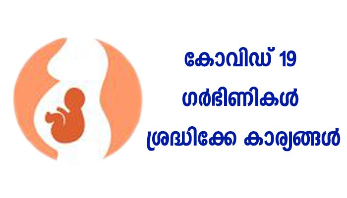 കോവിഡ് 19: ഗര്‍ഭിണികള്‍ അതീവ  ശ്രദ്ധ പുലര്‍ത്തണം- ഡിഎംഒ