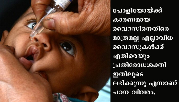 പോളിയോ വാക്സിന് കൊറോണോ ബാധയ്ക്കെതിരെ പ്രതിരോധം ഉണ്ടാക്കാൻ കഴിയുമെന്ന് പഠനം