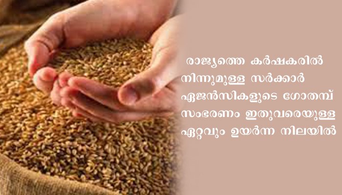 സർക്കാർ  ഏജന്‍സികളുടെ നേതൃത്വത്തിലുള്ള ഗോതമ്പ് സംഭരണം സർവകാല റെക്കോർഡിൽ