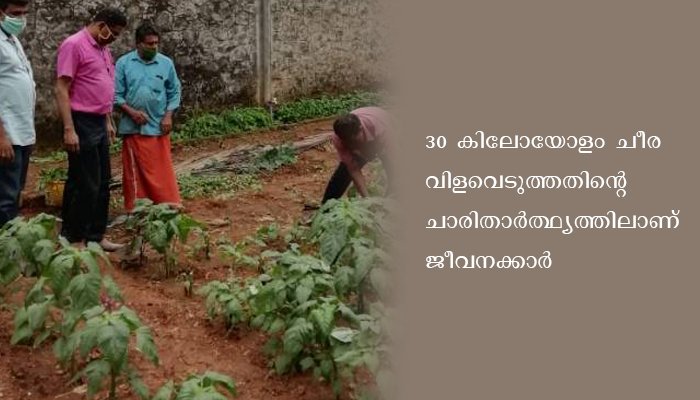തരിശുനിലം വിളനിലമാക്കി തൃശൂര്‍ സഹകരണ സ്പിന്നിങ് മില്‍