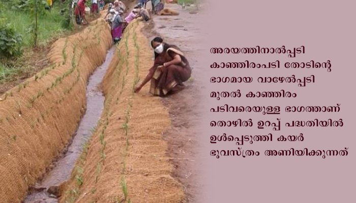 കയര്‍ ഭൂവസ്ത്രം കൈത്തോടിന് പുതുജീവന്‍ നല്‍കി