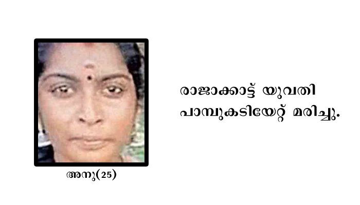രാജാക്കാട്ട് 25കാരി പാമ്പുകടിയേറ്റ് മരിച്ചു. ഫലപ്രാപ്തി കുറവുള്ള നാട്ടുചികിത്സ ആശ്രയിച്ചത് സ്ഥിതി വഷളാക്കി