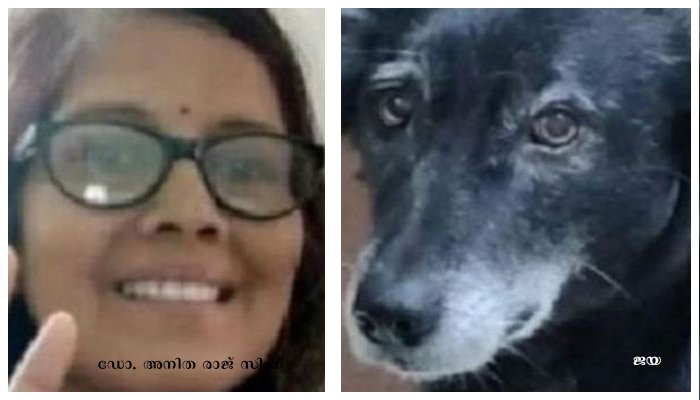 വൃക്കരോഗം വന്നു മരണമടഞ്ഞ തന്റെ ഉടമസ്ഥന്റെ വേര്‍പാട് താങ്ങാനാവാതെ വളര്‍ത്തുപട്ടി കെട്ടിടത്തിനു മുകളില്‍ നിന്ന് ചാടി മരിച്ചു.