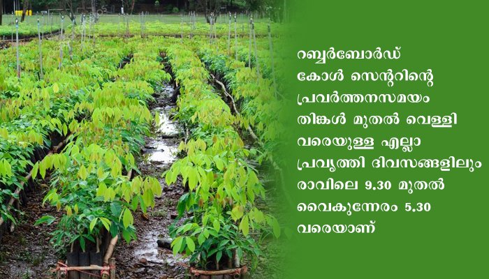 റബ്ബര്‍ തൈകളുടെ വിതരണത്തെക്കുറിച്ചറിയാന്‍ കോള്‍സെന്ററില്‍ വിളിക്കാം