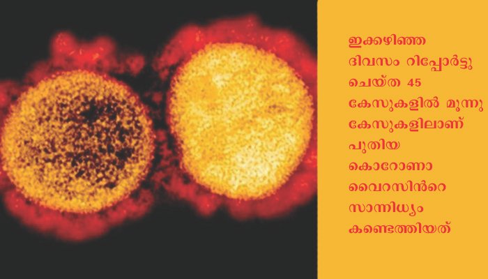 ശക്തിയേറിയ കൊറോണാ വൈറസിനെ മലേഷ്യയില്‍ കണ്ടെത്തി