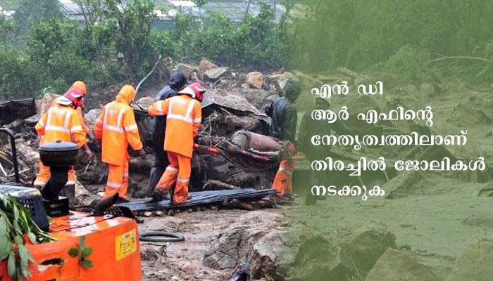 ഇടുക്കി പെട്ടിമുടിയിൽ രക്ഷാപ്രവർത്തനം പുനരാരംഭിച്ചു