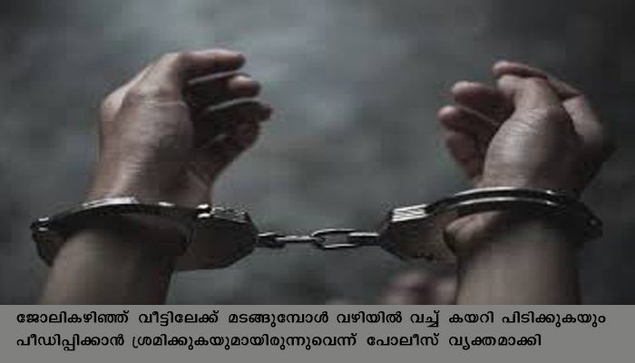 യുവതിക്കുനേരെ പീഡന ശ്രമം , പ്രതി പോലീസ്‌ പിടിയില്‍