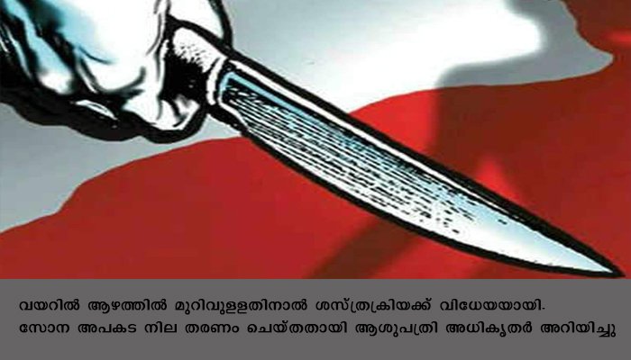 വനിതാ ഡോക്ടര്‍ക്ക്  കുത്തേറ്റു