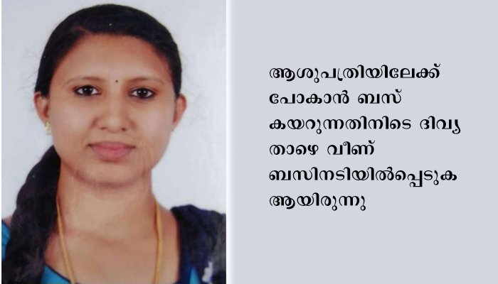 ഗർഭിണിയായ യുവതി ബസിനടിയിൽപ്പെട്ട് മരിച്ചു