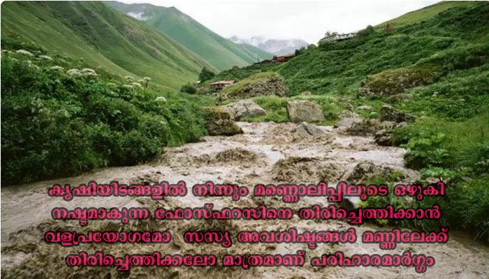 മണ്ണൊലിപ്പിലൂടെ ഉണ്ടാകുന്നത് പ്രതീക്ഷിച്ചതിലും വലിയ ഫോസ്ഫറസ് നഷ്ടം,  മണ്ണ് സംരക്ഷണം അടിയന്തര ആവശ്യമാണെന്ന് ഗവേഷകർ