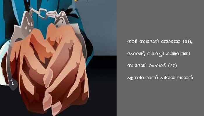 ആലുവയിൽ വൻ മയക്കു മരുന്ന് വേട്ട