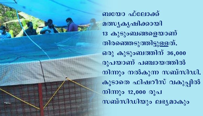 കൊല്ലം സുഭിക്ഷ കേരളം പദ്ധതി; കടയ്ക്കലില്‍ ബയോ ഫ്ലോക്ക് മത്സ്യകൃഷിക്ക് തുടക്കമായി