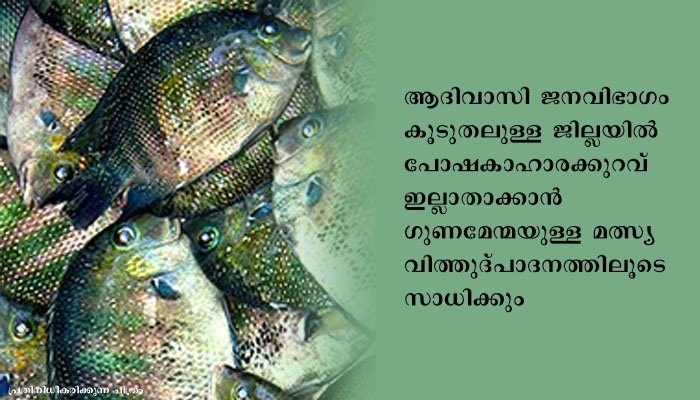 വയനാട് തദ്ദേശീയ മത്സ്യ ഉത്പാദനം വര്‍ധിപ്പിക്കും; മന്ത്രി ജെ. മേഴ്‌സിക്കുട്ടിയമ്മ