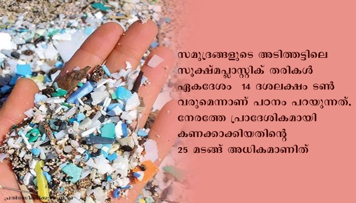 കടലിൻ്റെ അടിത്തട്ട് നിറയെ പ്ലാസ്റ്റിക്ക് തരികളെന്ന് പഠനം, ഇവയുടെ അളവ് നേരത്തേ കണക്കാക്കിയതിൻ്റെ 25 മടങ്ങ്