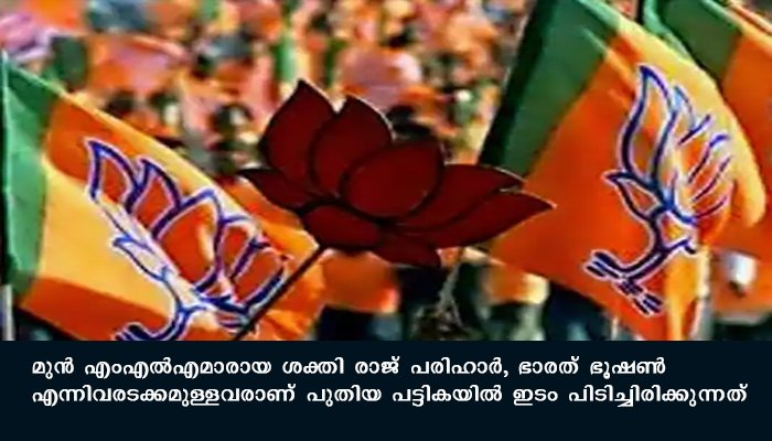 ജമ്മു കശ്മീര്‍ ഡിസിസി തിരഞ്ഞെടുപ്പ്: രണ്ടാം ഘട്ട സ്ഥാനാര്‍ത്ഥികളുടെ പട്ടിക പുറത്തിറക്കി ബിജെപി
