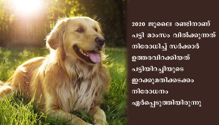 പട്ടി ഇറച്ചി വിൽക്കാമെന്ന് കോടതി;  നാഗാലാന്റ് സർക്കാരിന്റെ പട്ടി ഇറച്ചി നിരോധനം ഹൈക്കോടതി സ്റ്റേ ചെയ്തു