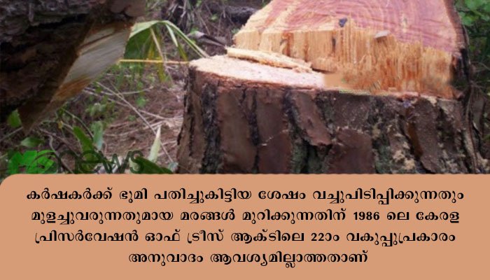 പട്ടയഭൂമിയിലെ ചന്ദനം ഒഴികെയുളള മരങ്ങള്‍ മുറിക്കുന്നത്‌ തടസപ്പെട്ടുത്തുന്ന ഉദ്യോഗസ്ഥര്‍ക്കെതിരെ നടപടി