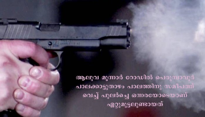 പെരുമ്പാവൂരിൽ ഗുണ്ടാ – ലഹരി സംഘങ്ങൾ തമ്മിൽ ഏറ്റുമുട്ടി. നെഞ്ചിൽ വെടിയേറ്റ ഒരാൾ ആശുപത്രിയിൽ