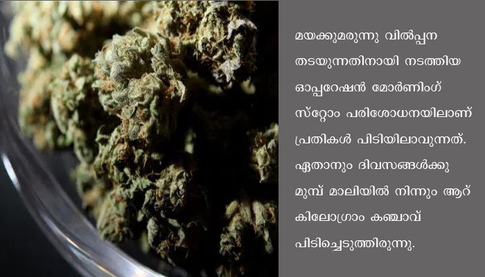 ഓപ്പറേഷന്‍ മോര്‍ണിംഗ്   സ്‌റ്റോമിന്റെ ഭാഗമായി നടത്തിയ പരിശോധനയില്‍ നാലുകിലോ കഞ്ചാവുമായി പിടിയില്‍