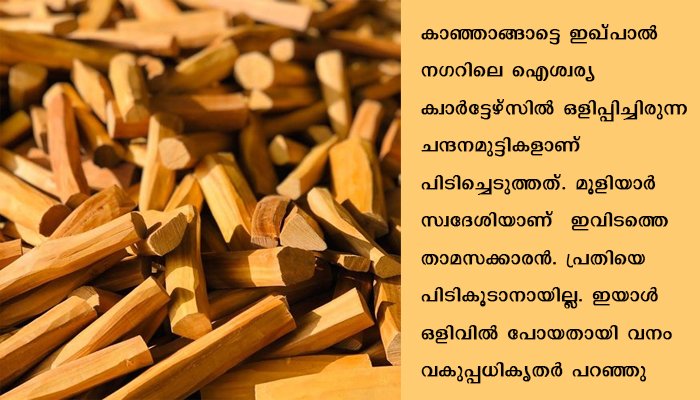 വാടക വീട്ടില്‍ നിന്നും അഞ്ചുകിലോ ചന്ദനമുട്ടികള്‍ പിടിച്ചടുത്തു