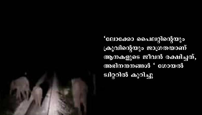 ട്രാക്കിൽ ആനകളെ കണ്ട് ട്രയിൻ നിർത്തി , ലോക്കോ പൈലറ്റിന്  കേന്ദ്ര മന്ത്രിയുടെ അഭിനന്ദനം