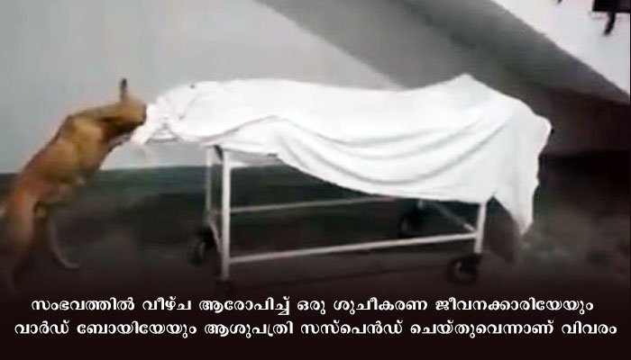 വാഹനാപകടത്തില്‍ മരിച്ച ബാലികയുടെ മൃതദേഹം ആശുപത്രിയിൽ തെരുവുപട്ടി കടിച്ചുവലിച്ചു.