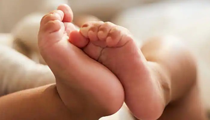 കൂട്ടശിശുമരണം: അന്വേഷണത്തിന്  പ്രത്യേക സമിതി