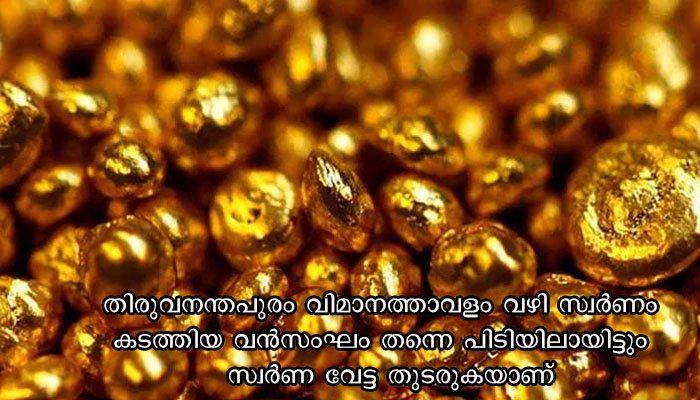 ക്യാപ്സ്യൂൾ രൂപത്തിലാക്കി കരിപ്പൂർ   വിമാനത്താവളം വഴി  കടത്താൻ ശ്രമിച്ച  55 ലക്ഷം രൂപയുടെ സ്വർണം പിടികൂടി