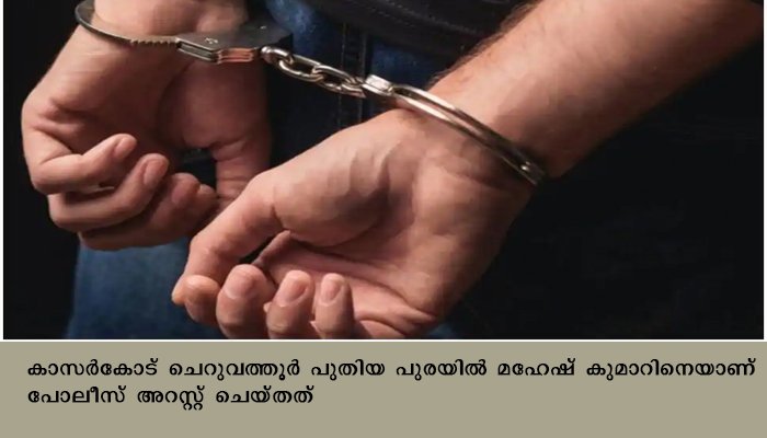 വാട്‌സാപ്പിലൂടെ നഗ്നവീഡിയോ പ്രദര്‍ശിപ്പിച്ച കേസില്‍ ഒരാള്‍ അറസ്റ്റില്‍