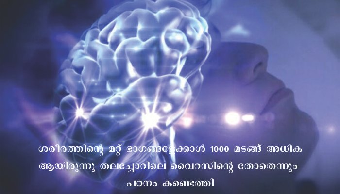 കോവിഡിൻ്റെ ആഘാതം കൂടുതൽ ബാധിക്കുന്നത് തലച്ചോറിനെയെന്ന് പഠനം