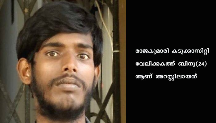 അടിമാലിയില്‍ ക്ഷേത്രം ശാന്തിയുടെ ഫോണും പണവും കവര്‍ന്ന പ്രതി പിടിയില്‍