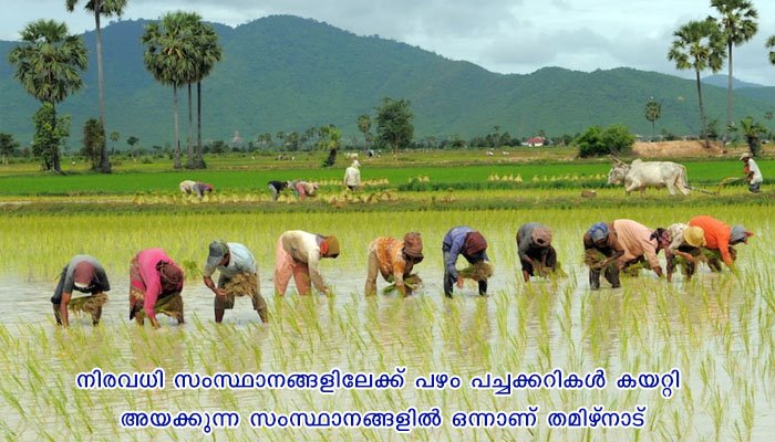 തമിഴ് നാട്ടില്‍ വായ്പ എഴുതിത്തളളല്‍ ആരംഭിച്ചു