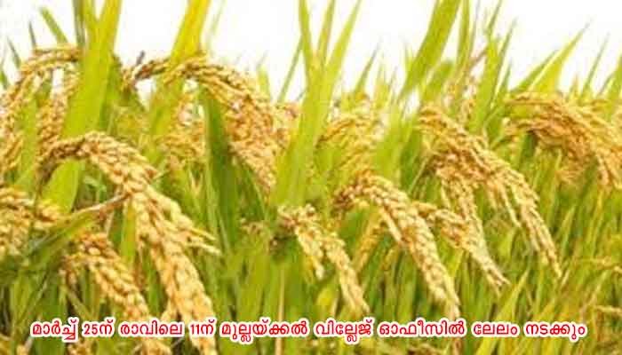 ആലപ്പുഴ: കൃഷി അവകാശലേലം
