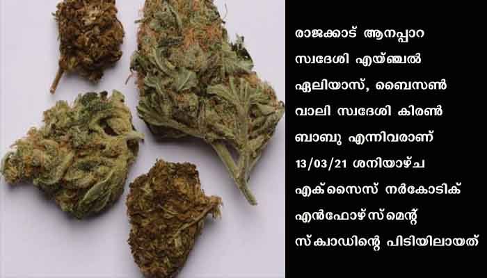 ബൈക്കില്‍ കഞ്ചാവ് വിൽപന നടത്തിയിരുന്ന രണ്ട് യുവാക്കള്‍ ഇടുക്കിയില്‍ അറസ്റ്റില്‍, കഞ്ചാവെത്തിച്ചത് വിനോദസഞ്ചാരികൾക്ക്