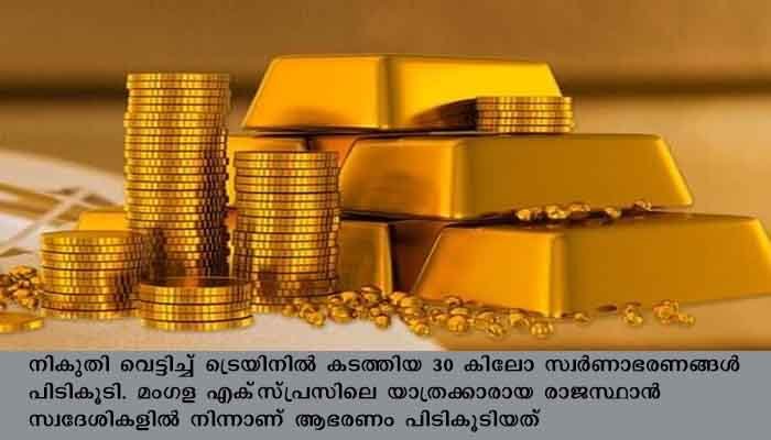 ട്രെയിനില്‍ കടത്തുകയായിരുന്ന 30 കിലോ സ്വര്‍ണം പിടിച്ചു. പിഴയീടാക്കി സ്വര്‍ണം വിട്ടുകൊടുത്തു