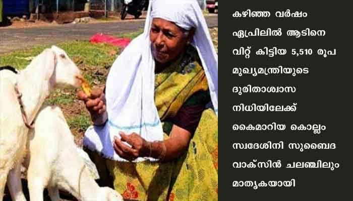 കൊല്ലം സ്വദേശിനി സുബൈദ വാക്സിൻ ചലഞ്ചിലും കൈവിട്ടില്ല , ആടിനെ വിറ്റ് കിട്ടിയ 5,510 രൂപ മുഖ്യമന്ത്രിയുടെ ദുരിതാശ്വാസ നിധിയിലേക്ക് കൈമാറി