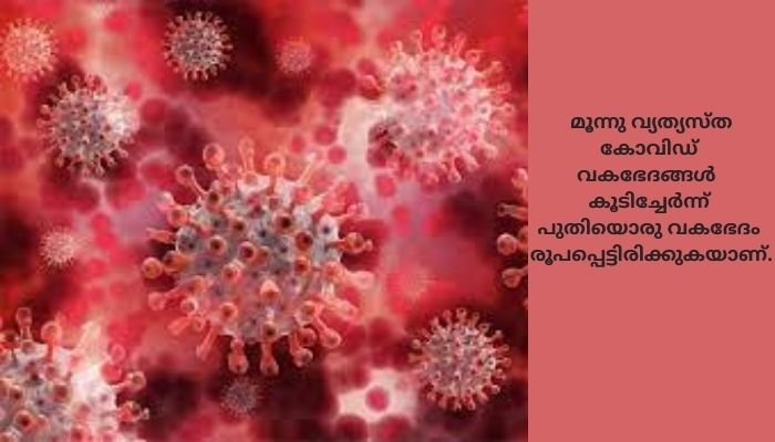 ഭീഷണിയായി മൂന്നുവട്ടം ജനിതക മാറ്റം സംഭവിച്ച വൈറസ്