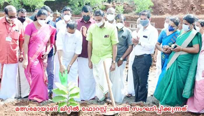 കണ്ണൂർ: കാലാവസ്ഥാ വ്യതിയാനം ചെറുക്കാന്‍ കാടുകള്‍ സൃഷ്ടിക്കണം: മന്ത്രി എം വി ഗോവിന്ദന്‍