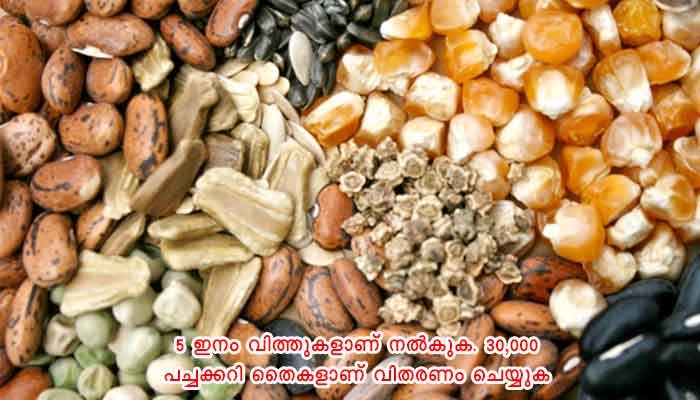 തൃശ്ശൂർ: ഓണത്തിന് ഒരുമുറം പച്ചക്കറി: പദ്ധതിയുമായി ആർത്താറ്റ് കൃഷിഭവൻ