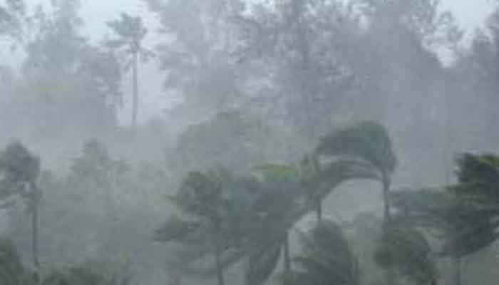 റെഡ് അലര്‍ട്ട്: വയനാട് ജില്ലയില്‍ ജാഗ്രതാ നിര്‍ദ്ദേശം