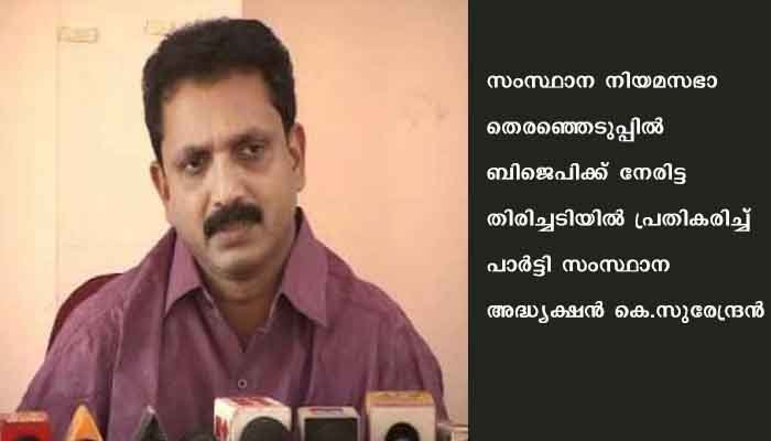 തെരഞ്ഞെടുപ്പ് പരാജയത്തിന്റെ ഉത്തരവാദിത്തം ഏറ്റെടുത്ത് കെ സുരേന്ദ്രന്‍