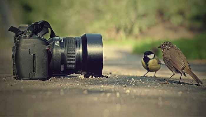 മലപ്പുറം: ഫോട്ടോ ഗ്രാഫി മത്സരം