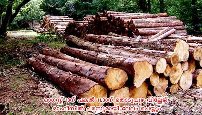 ഇടുക്കി: തടി ലേലം