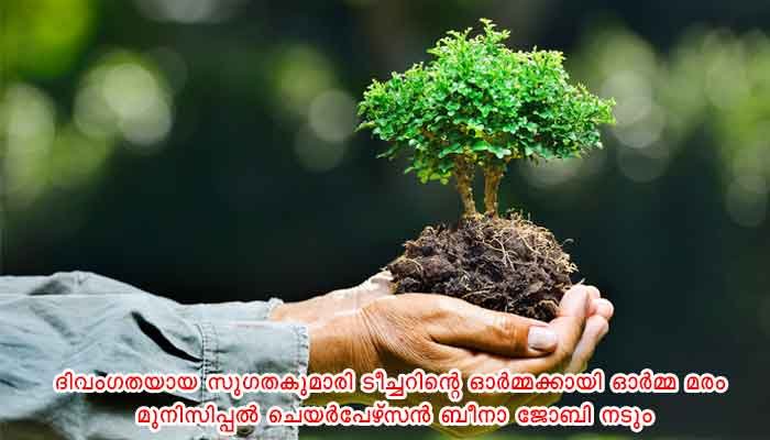 പരിസ്ഥിതി ദിനാചരണം: ഇടുക്കി ജില്ലാതല ഉദ്‌ഘാടനം കട്ടപ്പനയില്‍