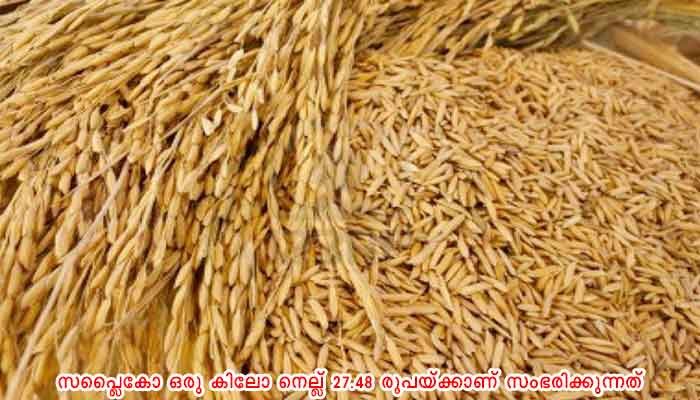 തിരുവനന്തപുരം: നെല്ല് സംഭരണത്തിൽ വർധനവ്